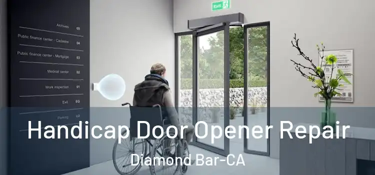  Handicap Door Opener Repair Diamond Bar-CA